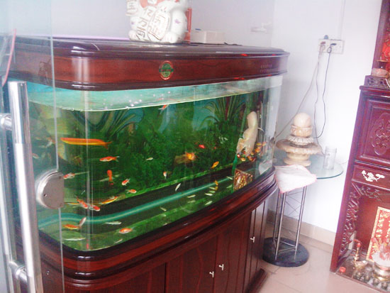 薈浚實業正門魚缸